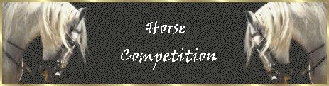 HORSE COMPETITION